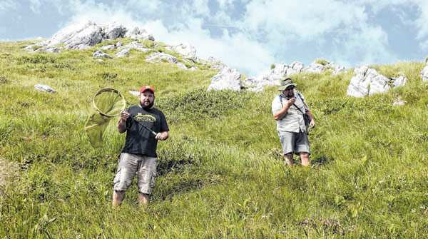 Risnjak dom leptira, a ne samo medvjeda, vuka i risa
