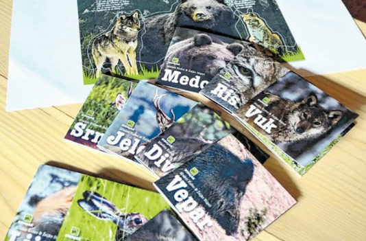 Goranski trojac osmislio zanimljiv projekt