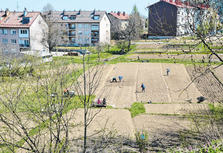 Poljoprivreda je opet “in”, baš kao i istraživanje vlastitog susjedstva