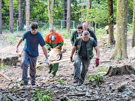 Delnički gater: Ljubitelji životinja ukazuju na loše uvjete