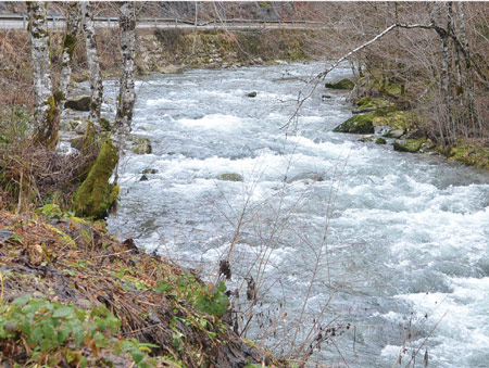 Većina goranskih čelnika protiv odluke iz Zagreba