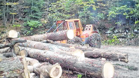 EU Zeleni plan: Hrvatski savez udruga privatnih šumovlasnika poručuje – neće biti dobro