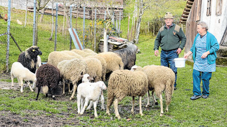 Žitelji naselja uz Kupu zbrajaju štete