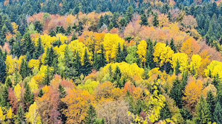 PGŽ daje milijun kuna za projekte u Master planu