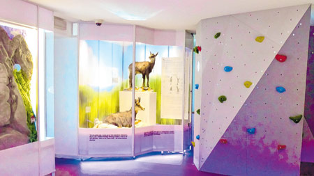 Turisti otkrili Gorski kotar, stečaj Cedra najveća mrlja u 2021.