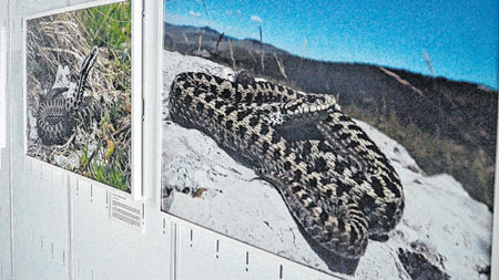 Noć muzeja održana u Kaštelu Zrinskih