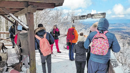 Lynx and Fox: Šećeš i učiš o ljubavnom životu životinja goranskih šuma
