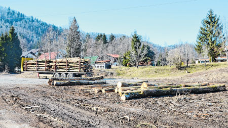 Pandemija prolazi – problem šumarskog kadra ostaje