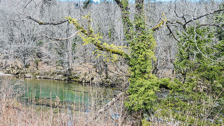 Idilično buđenje prirode u Kupskoj dolini