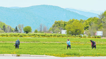 Pojačan interes Gorana za poljoprivrednim kulturama