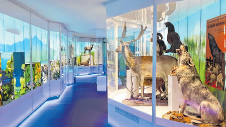 Noć muzeja: Znamenita flora i vegetacija