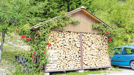 Drva ima dovoljno, a cijena peleta otišla u nebo i pitanje je hoće li ih biti