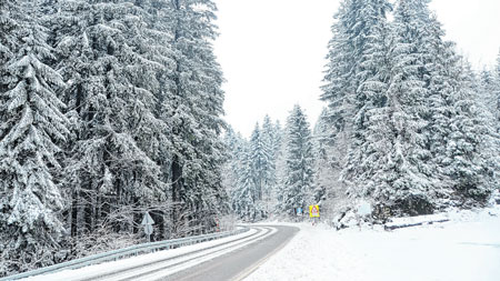 Čini se, zima, ona prava, stiže