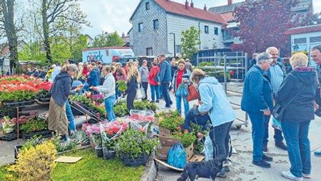 Četvrtkom povoljna prodaja sadnica cvijeća i povrća
