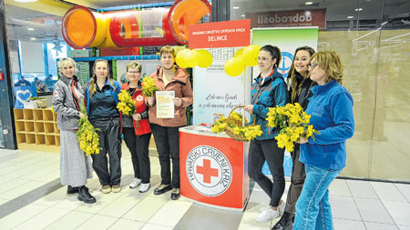 Obilježen 19. Dan mimoza u Delnicama