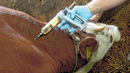 Županija pomogla opstanak veterinarske službe