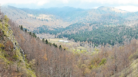 Inicijativa delničkog ogranka Matice hrvatske: Iskon koji nosimo u sebi
