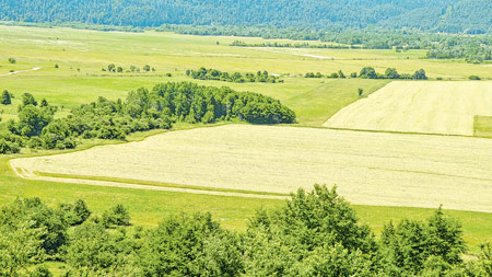 ARKOD: Hrvatski poljoprivrednici nikad na zelenu granu